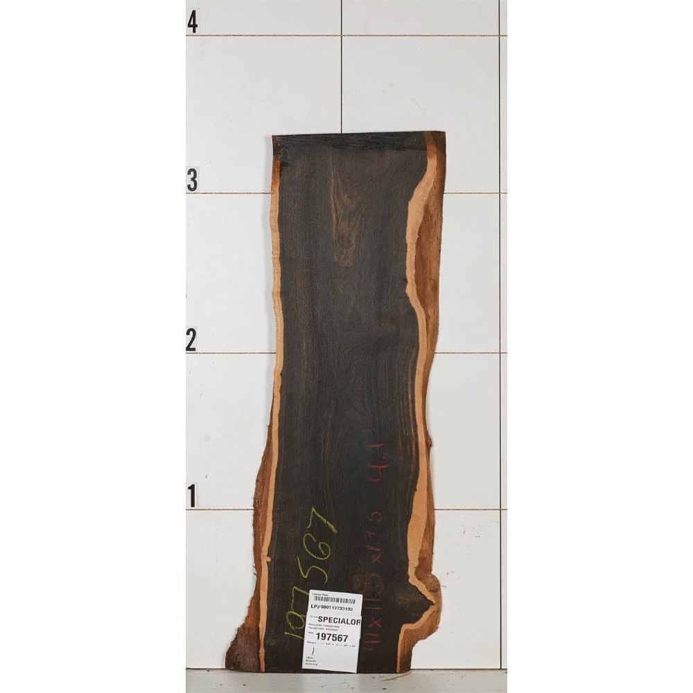 Bocote Wood Slab - Image 33