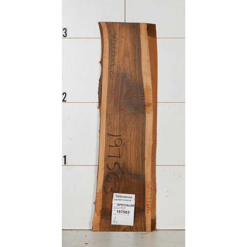 Bocote Wood Slab - Image 7