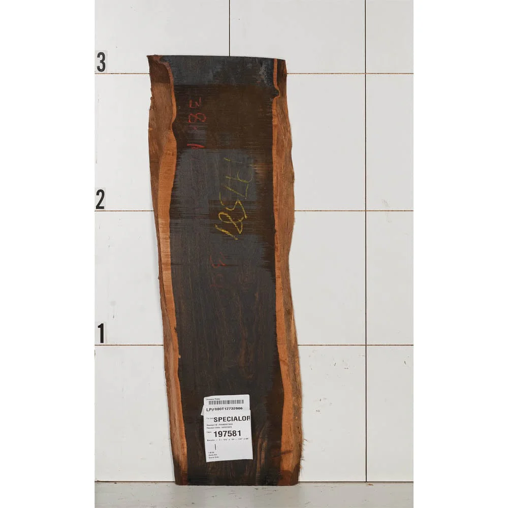 Bocote Wood Slab - Image 9