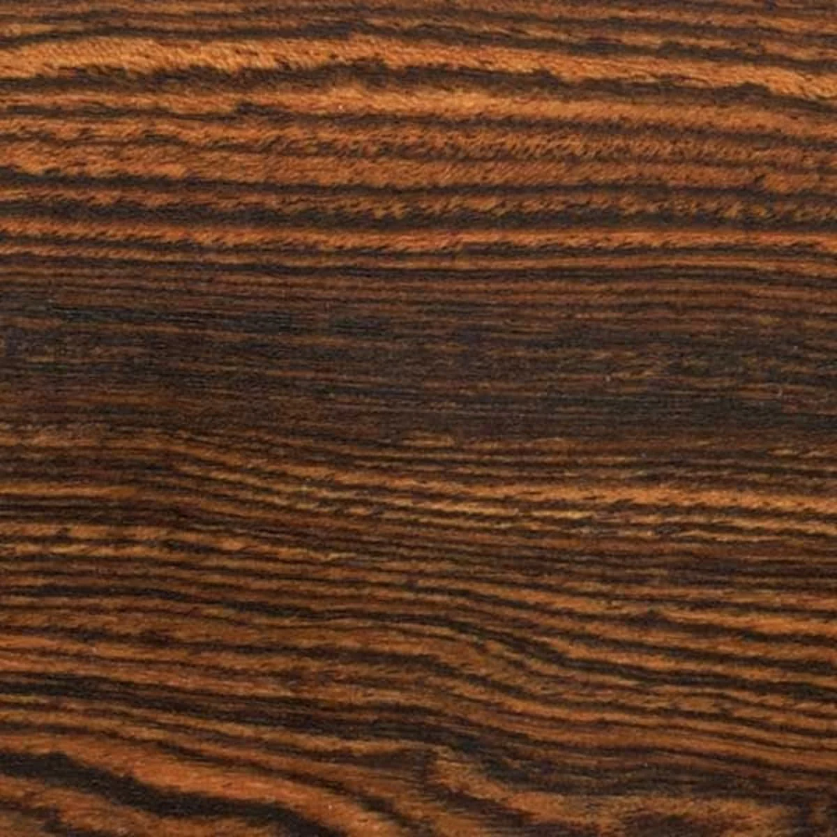 Bocote Wood Turning Stock - Image 4