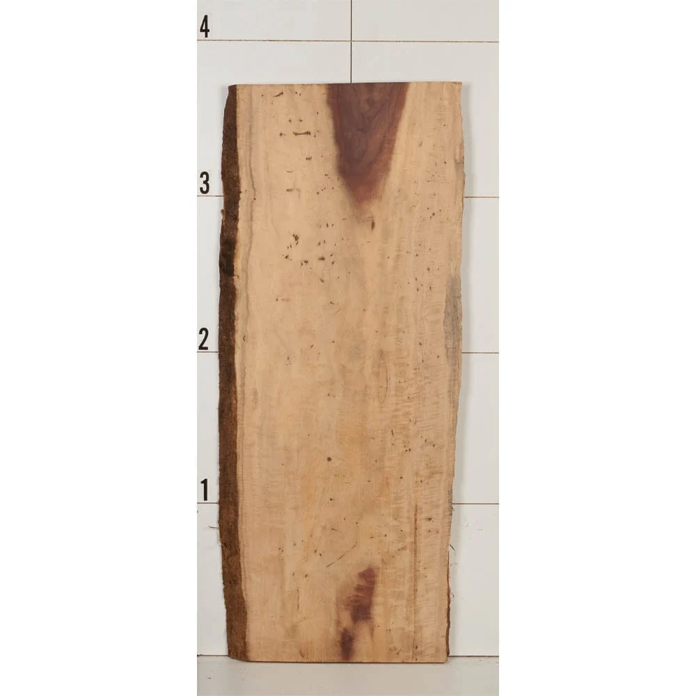 Curly Katalox Wood Slab - Image 8