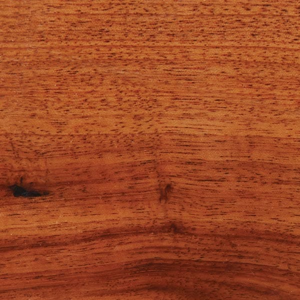 Orange Agate Wood Turning Stock - Image 2