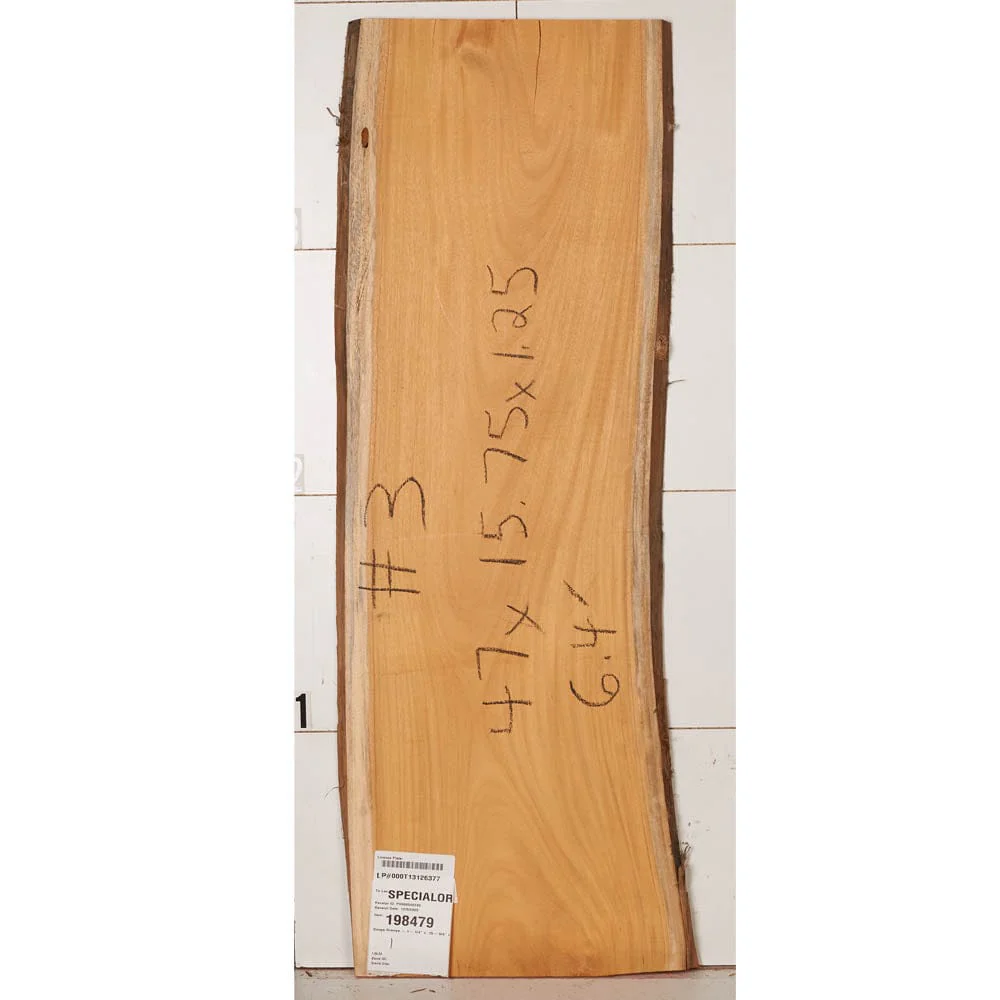 Osage Orange Slab - Image 10