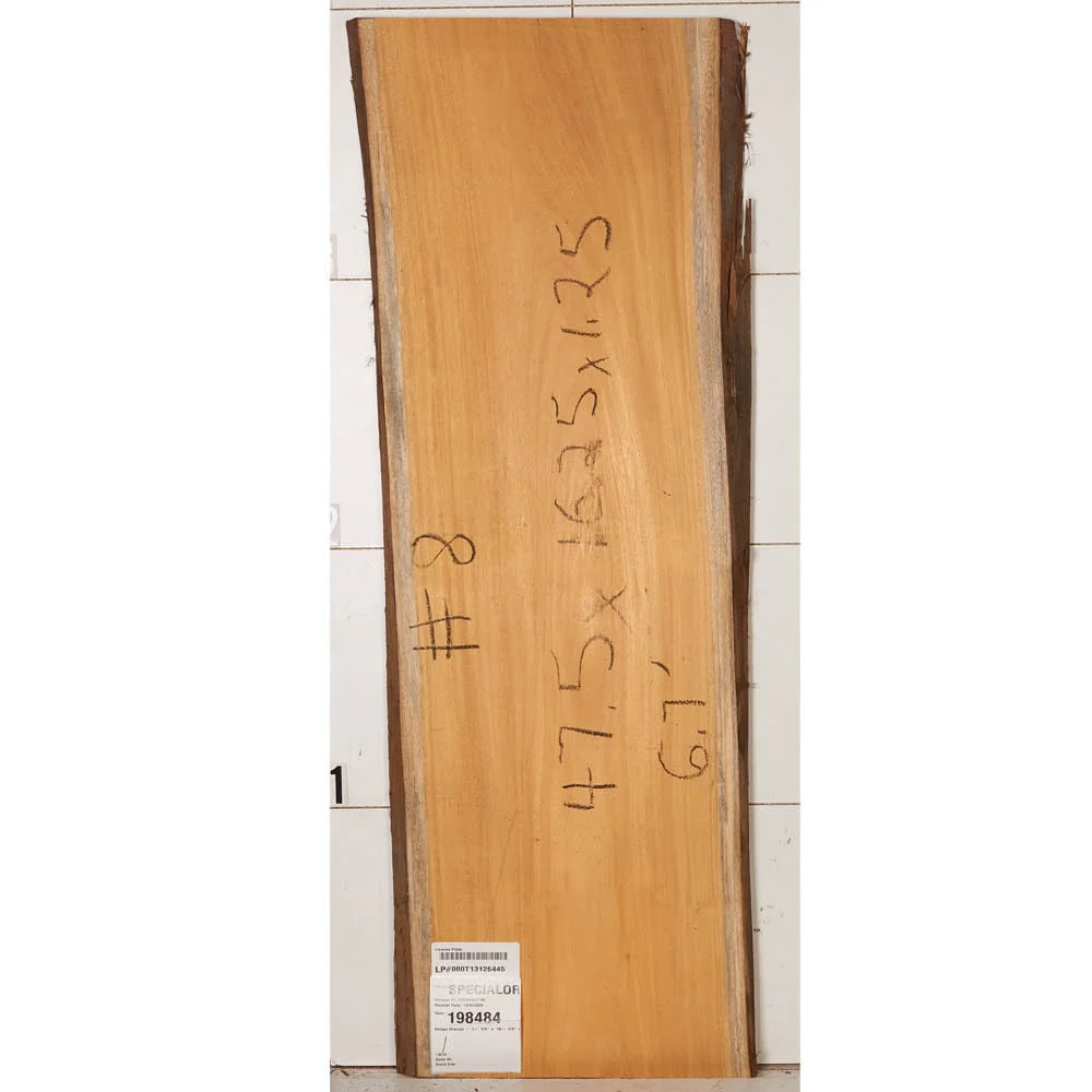 Osage Orange Slab - Image 12