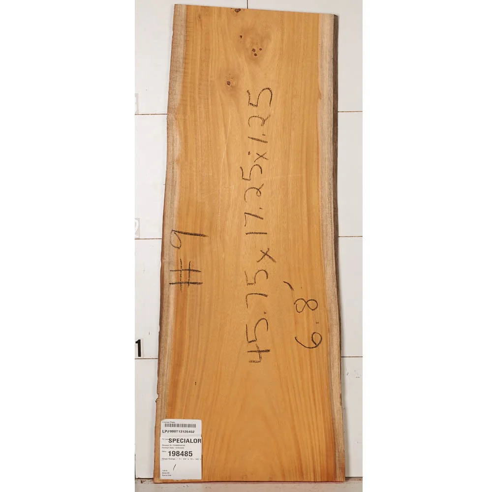 Osage Orange Slab - Image 13