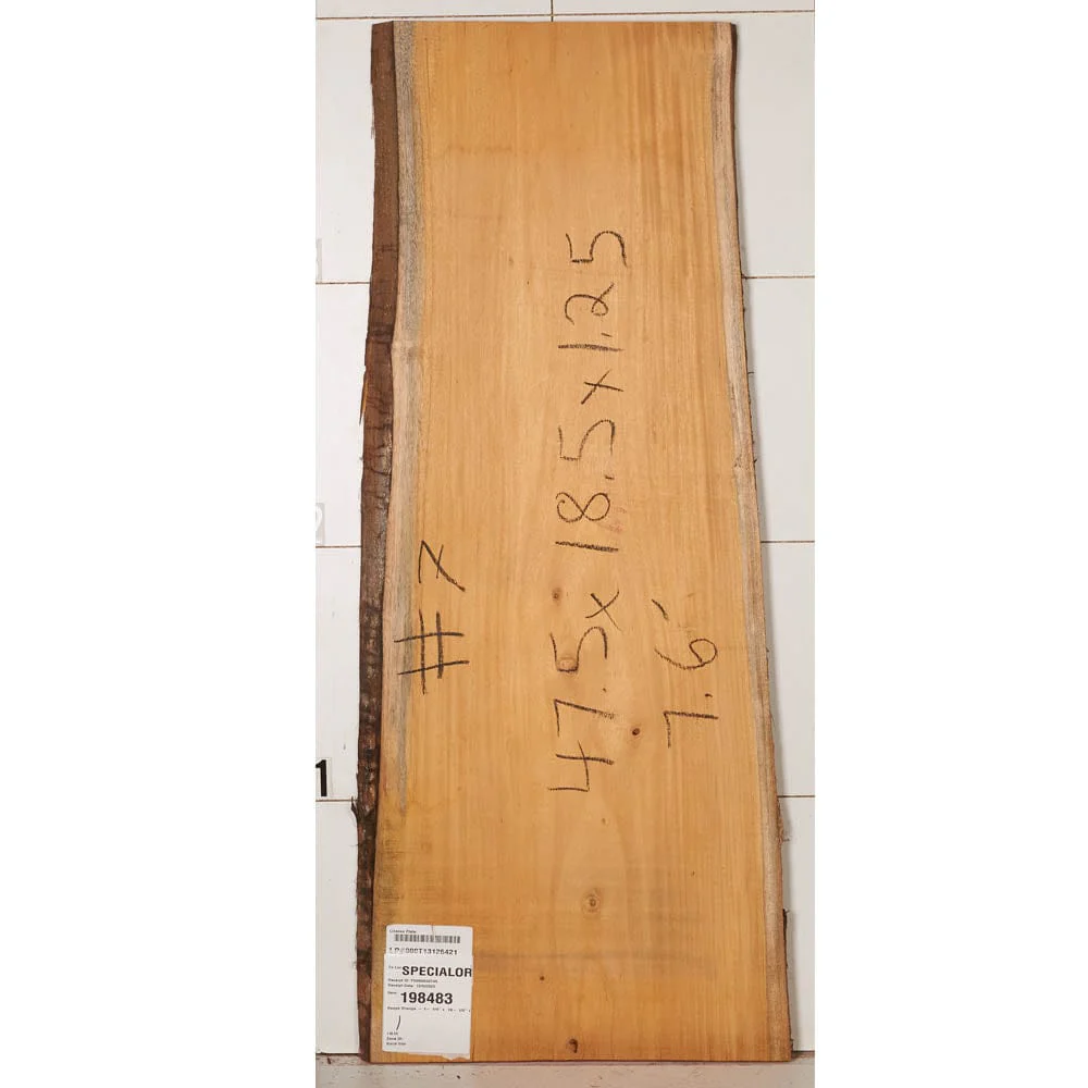 Osage Orange Slab - Image 15