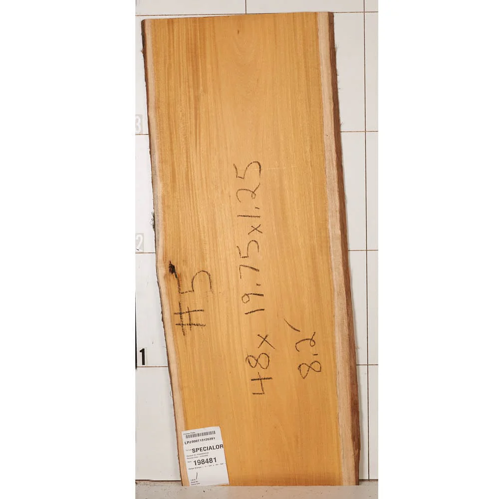 Osage Orange Slab - Image 17