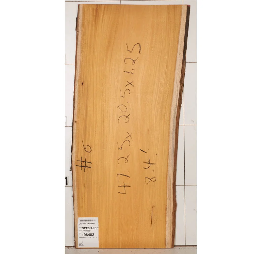 Osage Orange Slab - Image 19