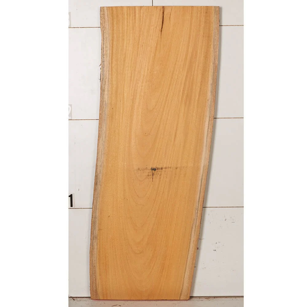 Osage Orange Slab - Image 3