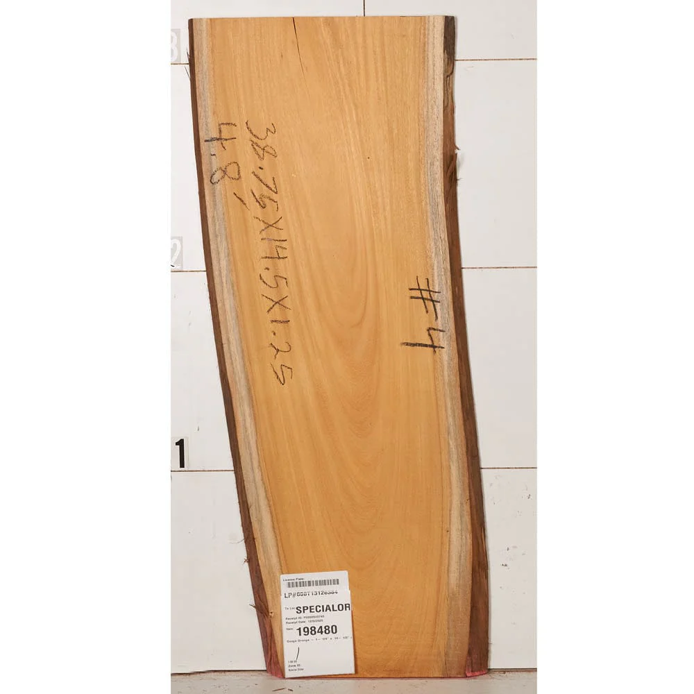 Osage Orange Slab - Image 4