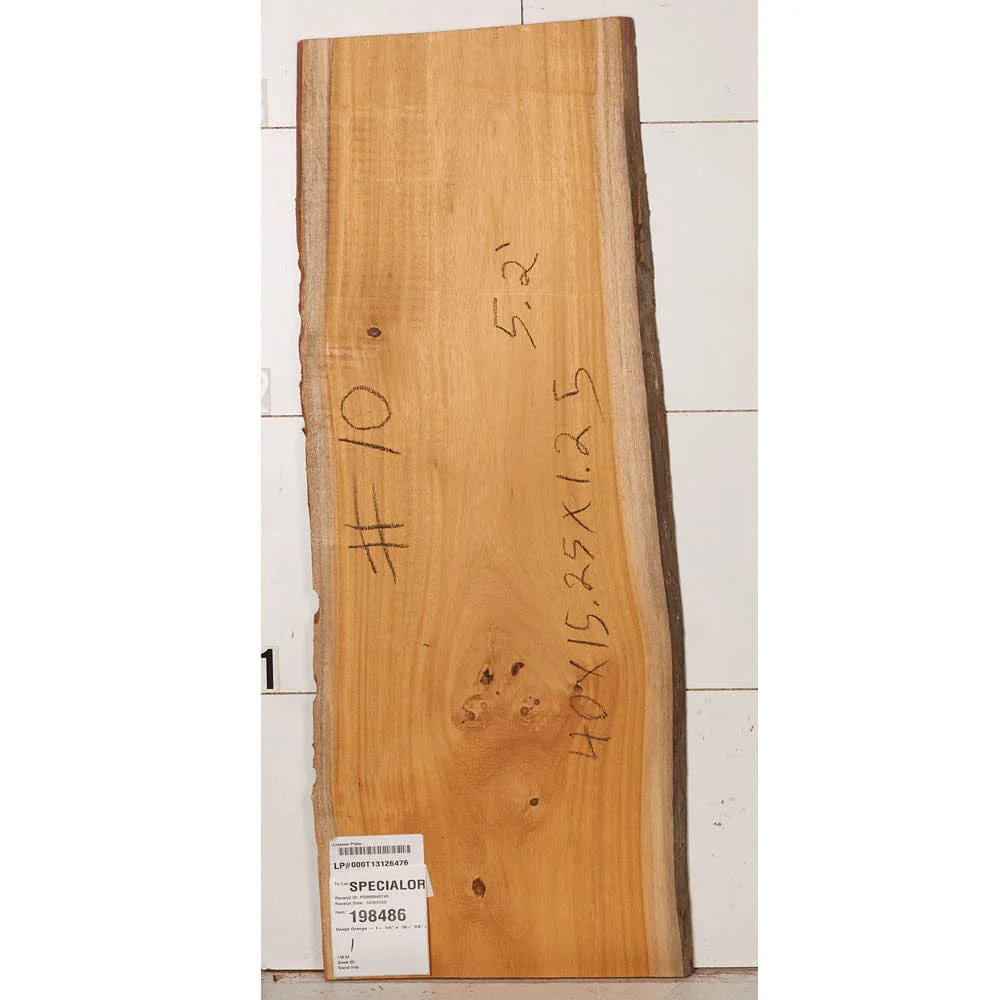 Osage Orange Slab - Image 5