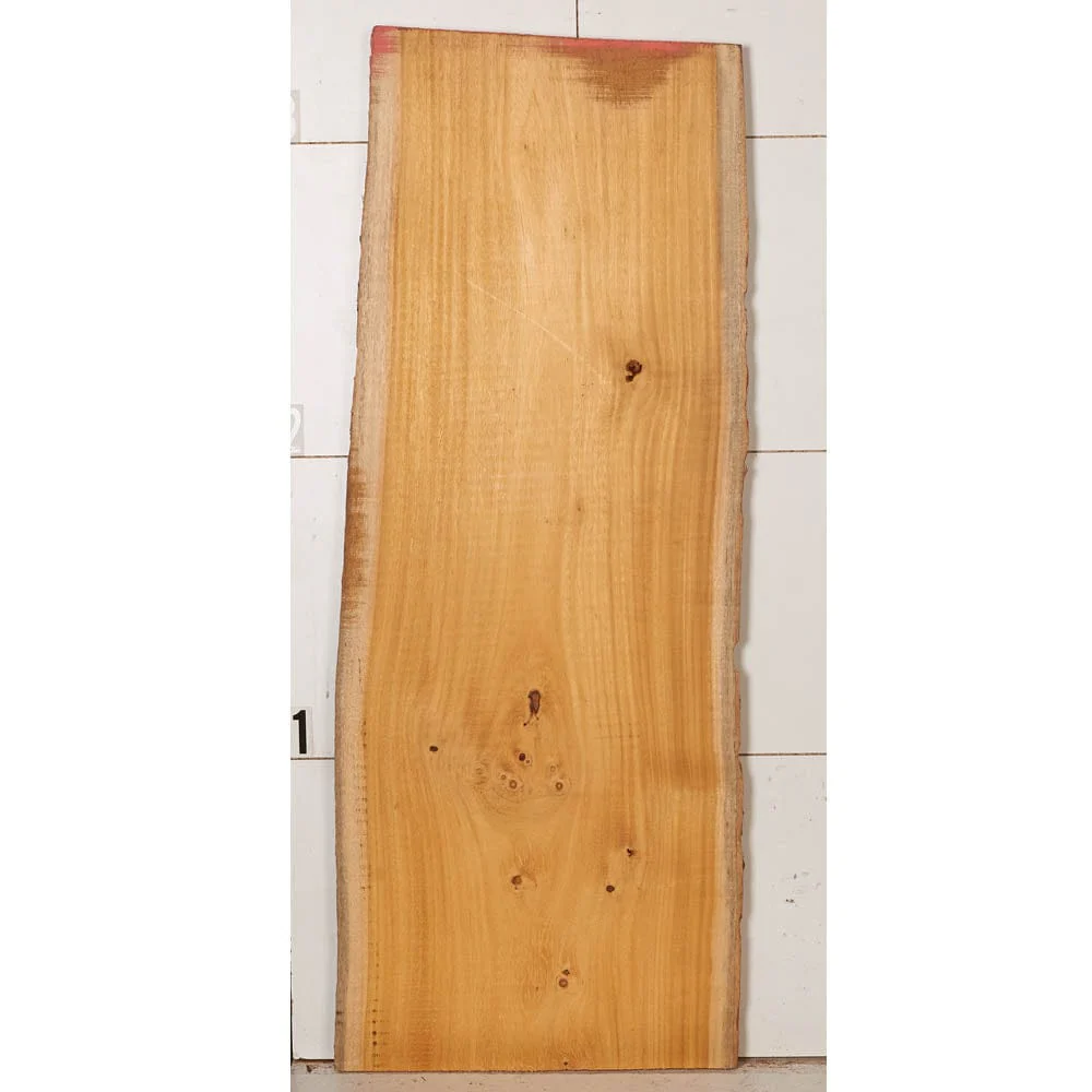 Osage Orange Slab - Image 6