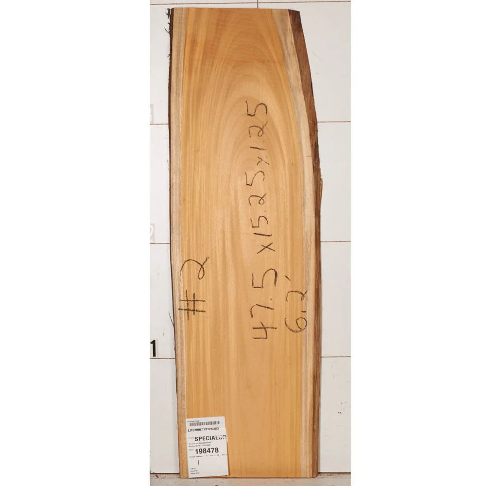 Osage Orange Slab - Image 8