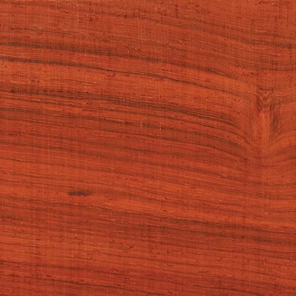 Padauk Wood Turning Stock - Image 6