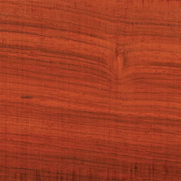 Padauk Wood Turning Stock - Image 8