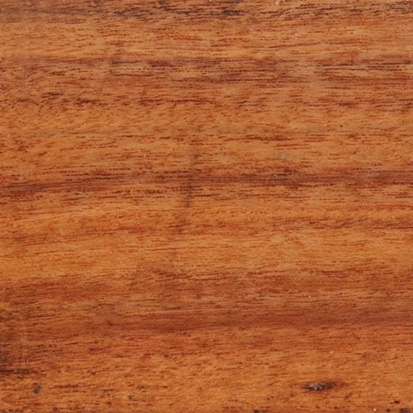Patagonia Rosewood Wood Turning Stock - Image 5