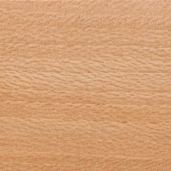Sycamore Wood Turning Stock - Image 10