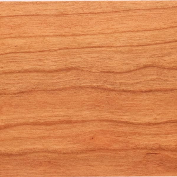 Thin Stock Pack - 2 Square Foot - Image 2