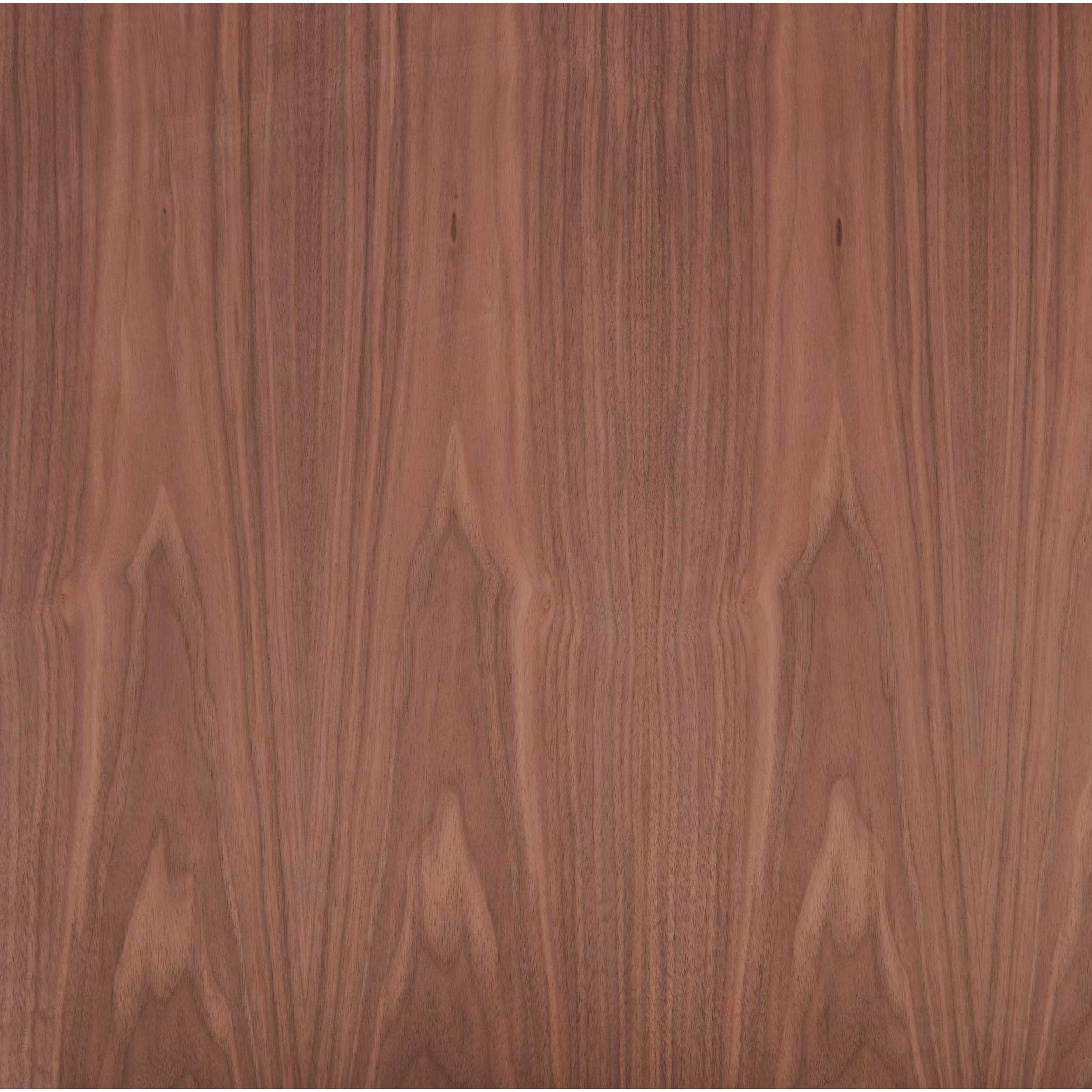 Walnut Plywood - Image 10