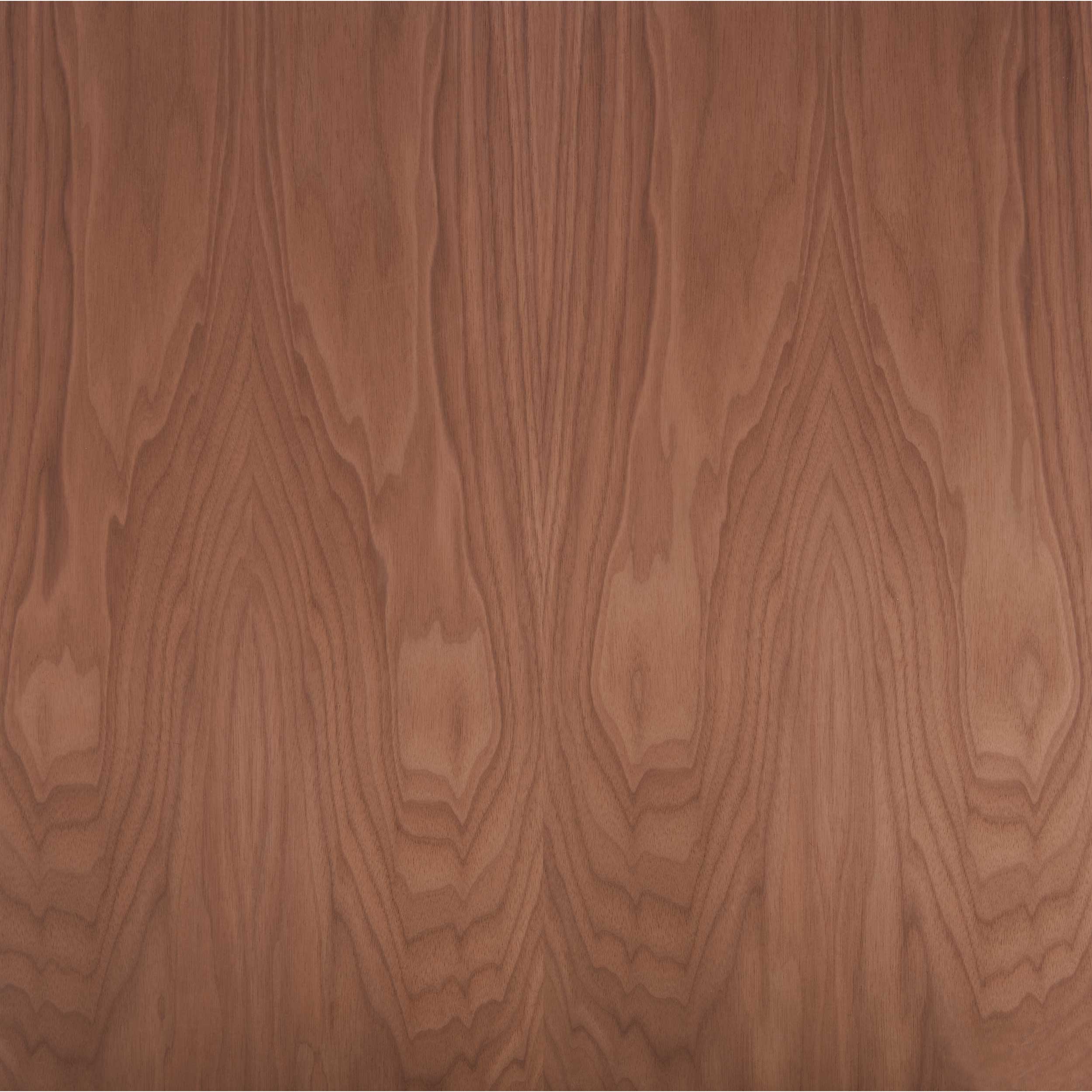 Walnut Plywood - Image 7