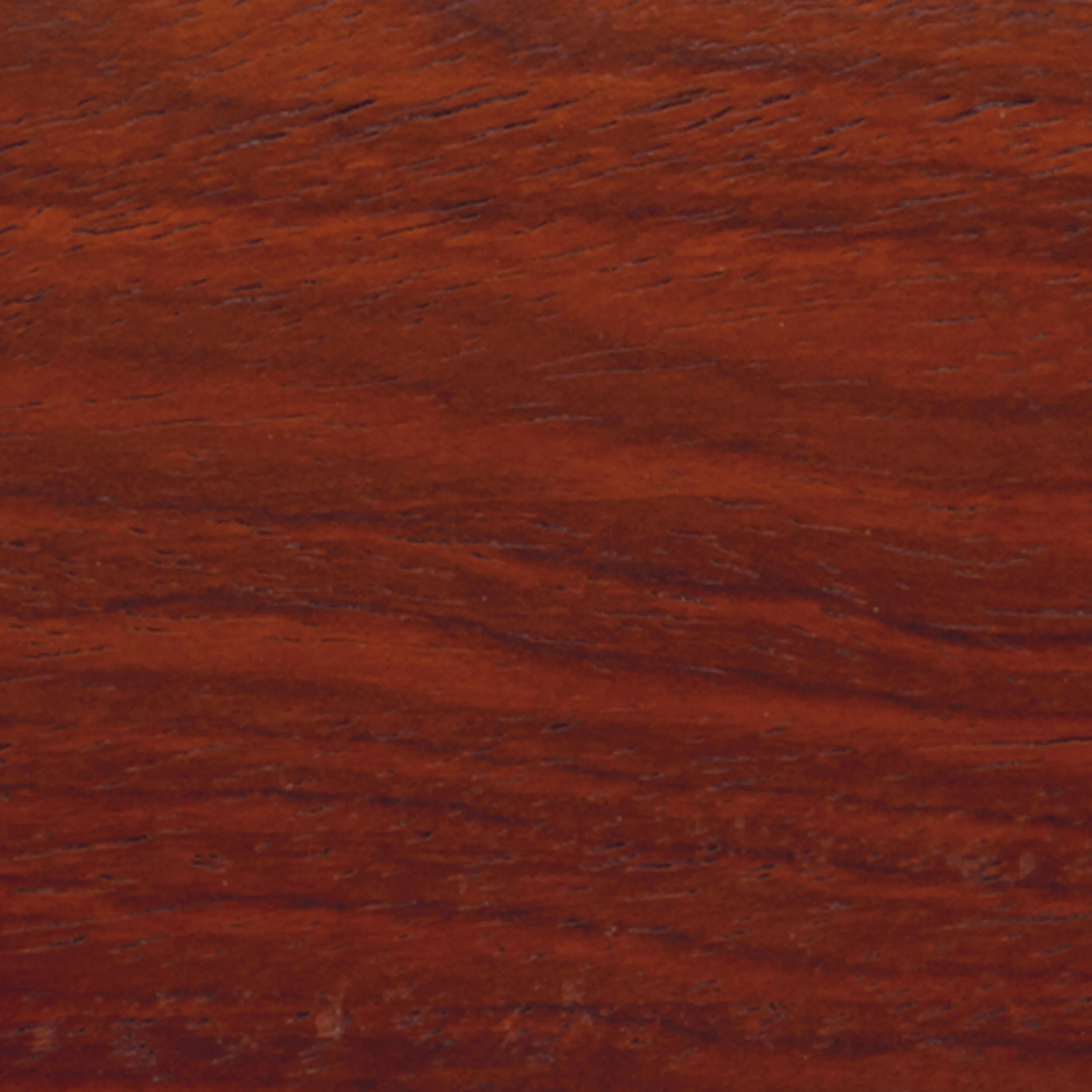 Yucatan Rosewood Wood Turning Stock