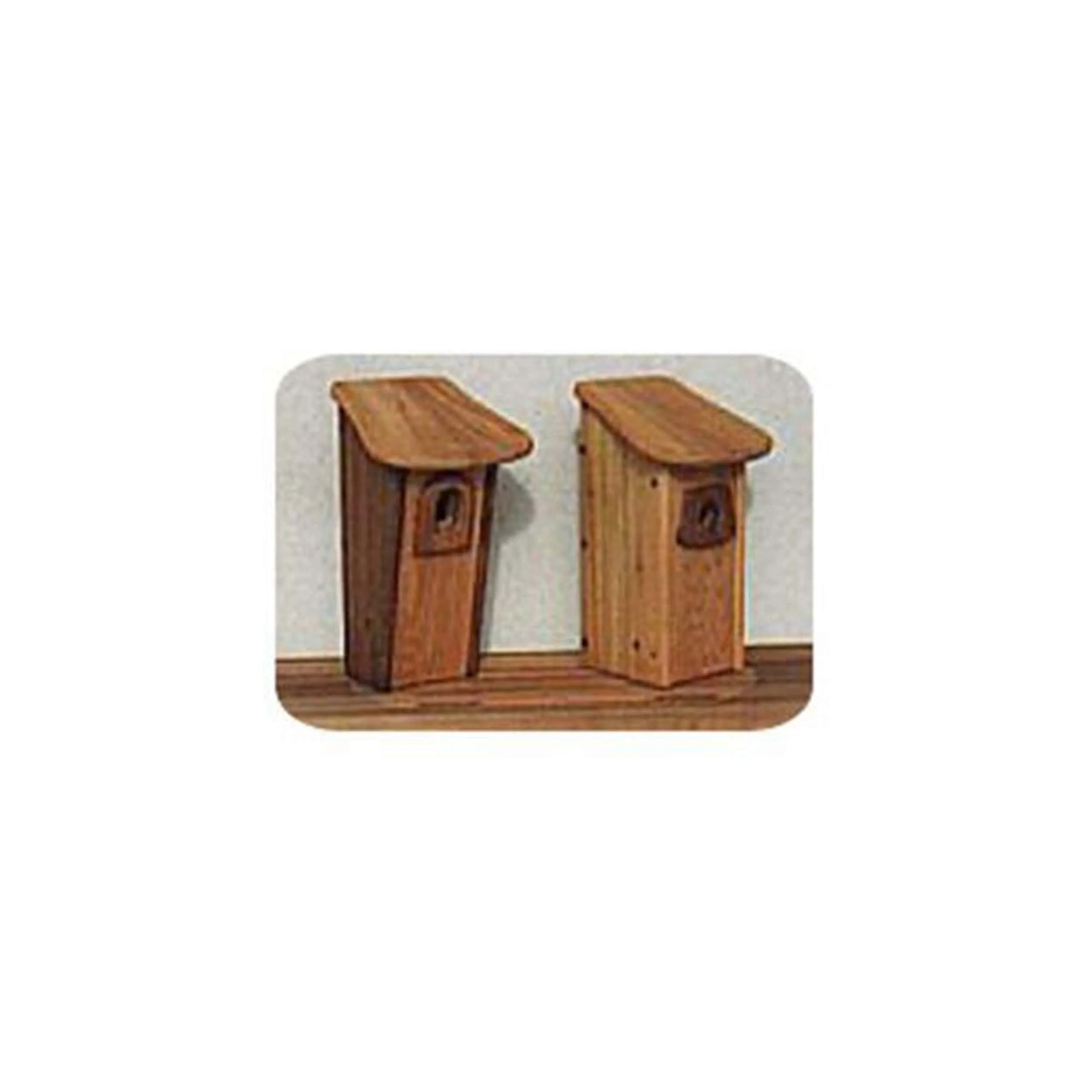 Woodworking Project Paper Plan to Build Blue Bird House