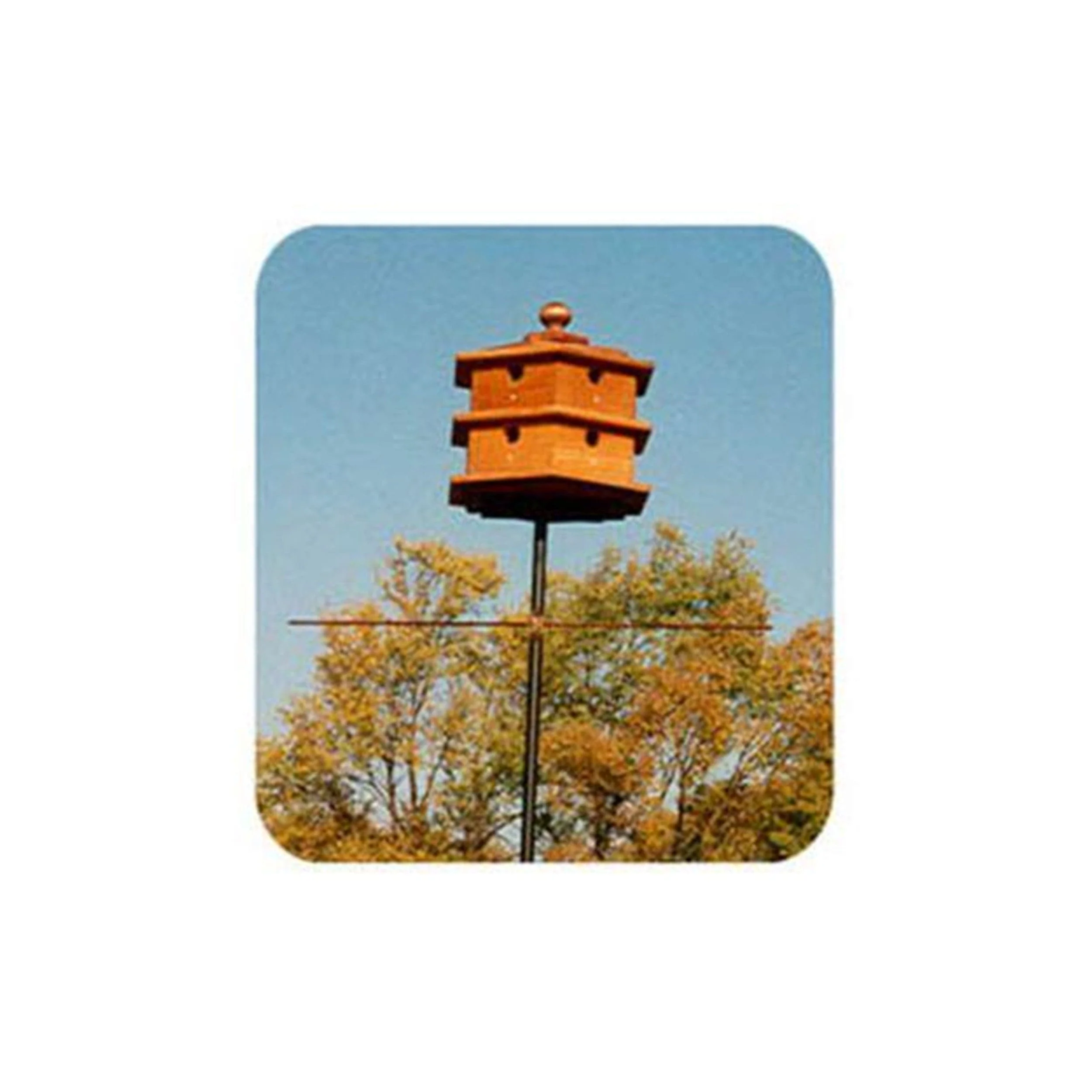Woodworking Project Paper Plan to Build Hexagon Purple Martin House