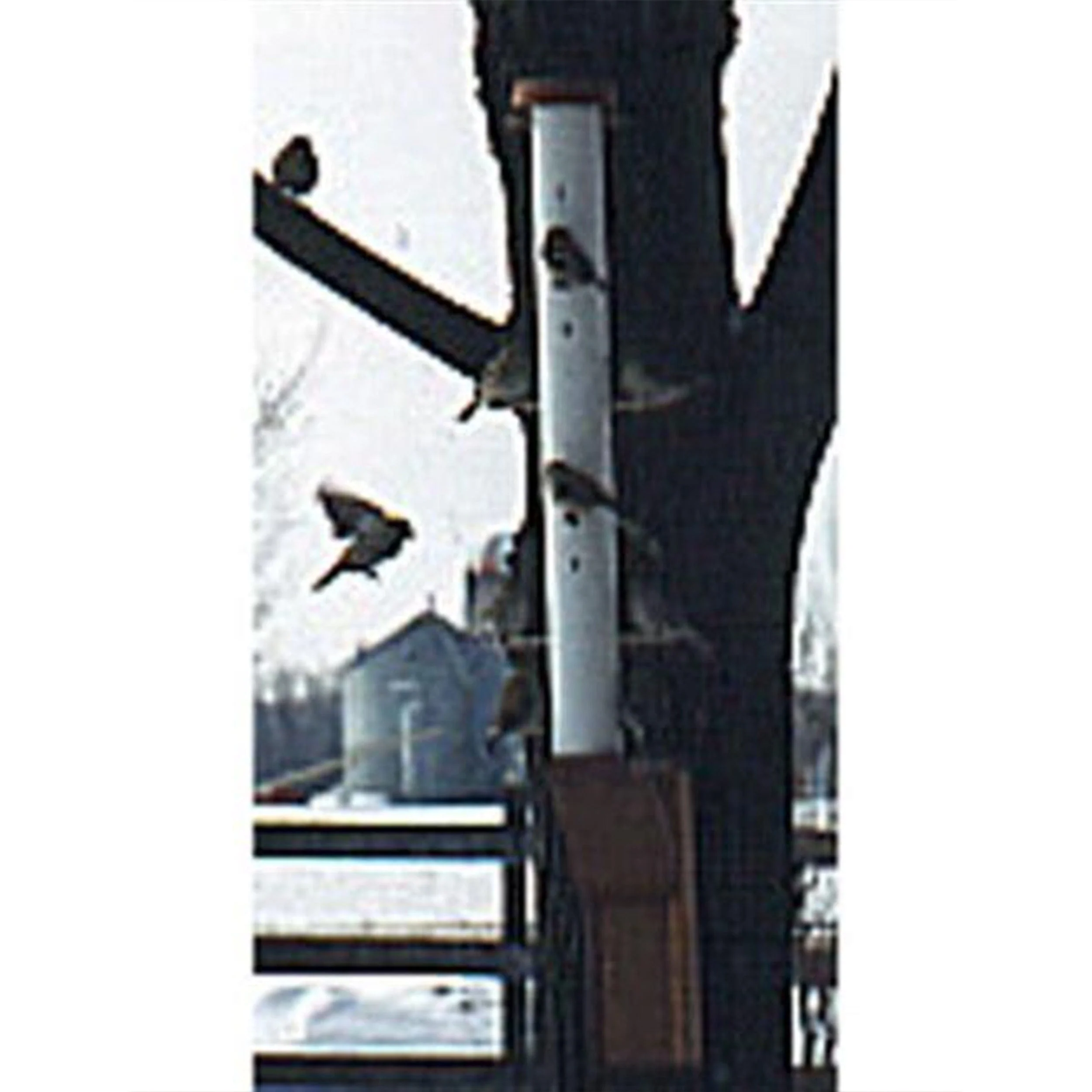 Woodworking Project Paper Plan to Build PVC Finch Feeder with Three Stands