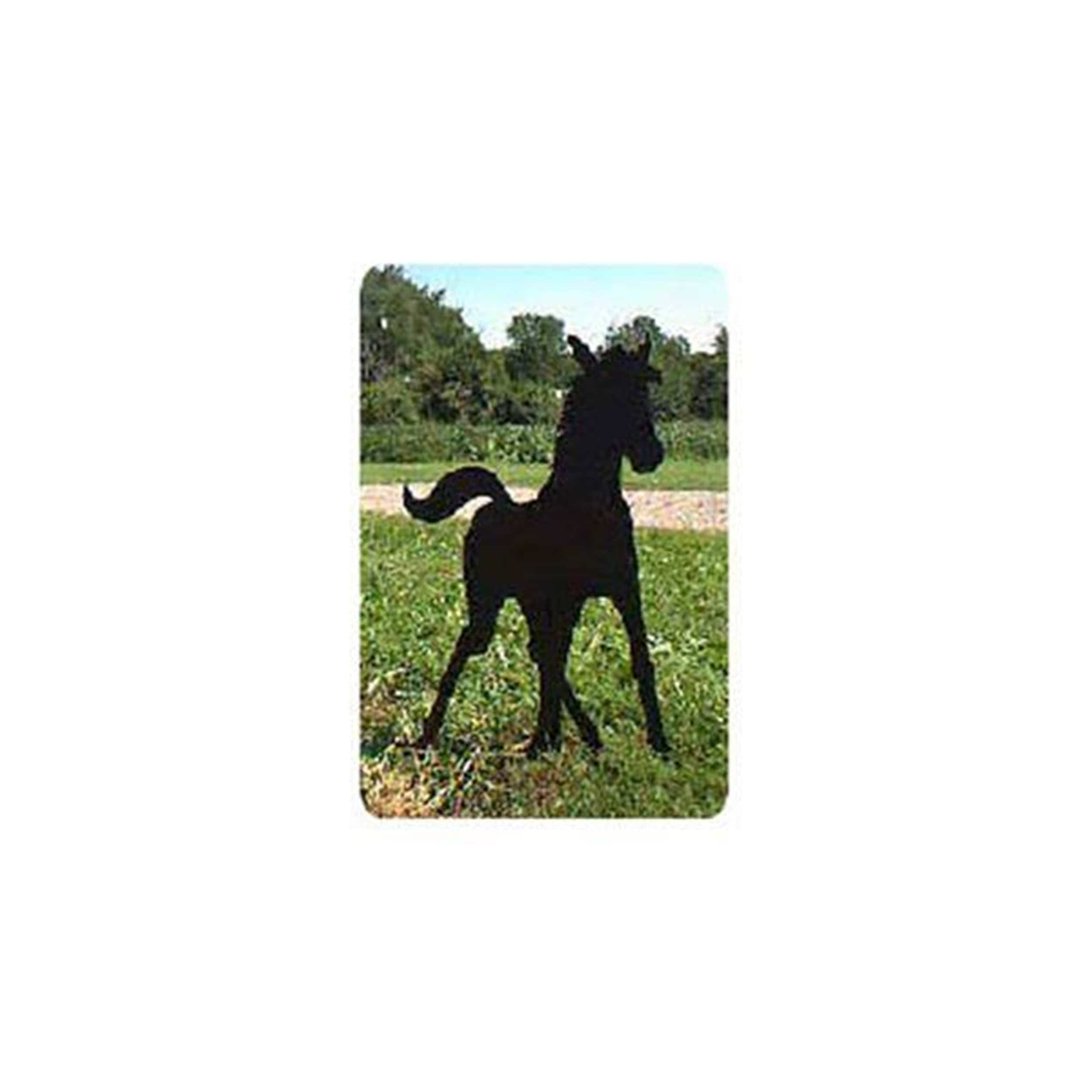 Woodworking Project Paper Plan to Build Spring Foal Shadow