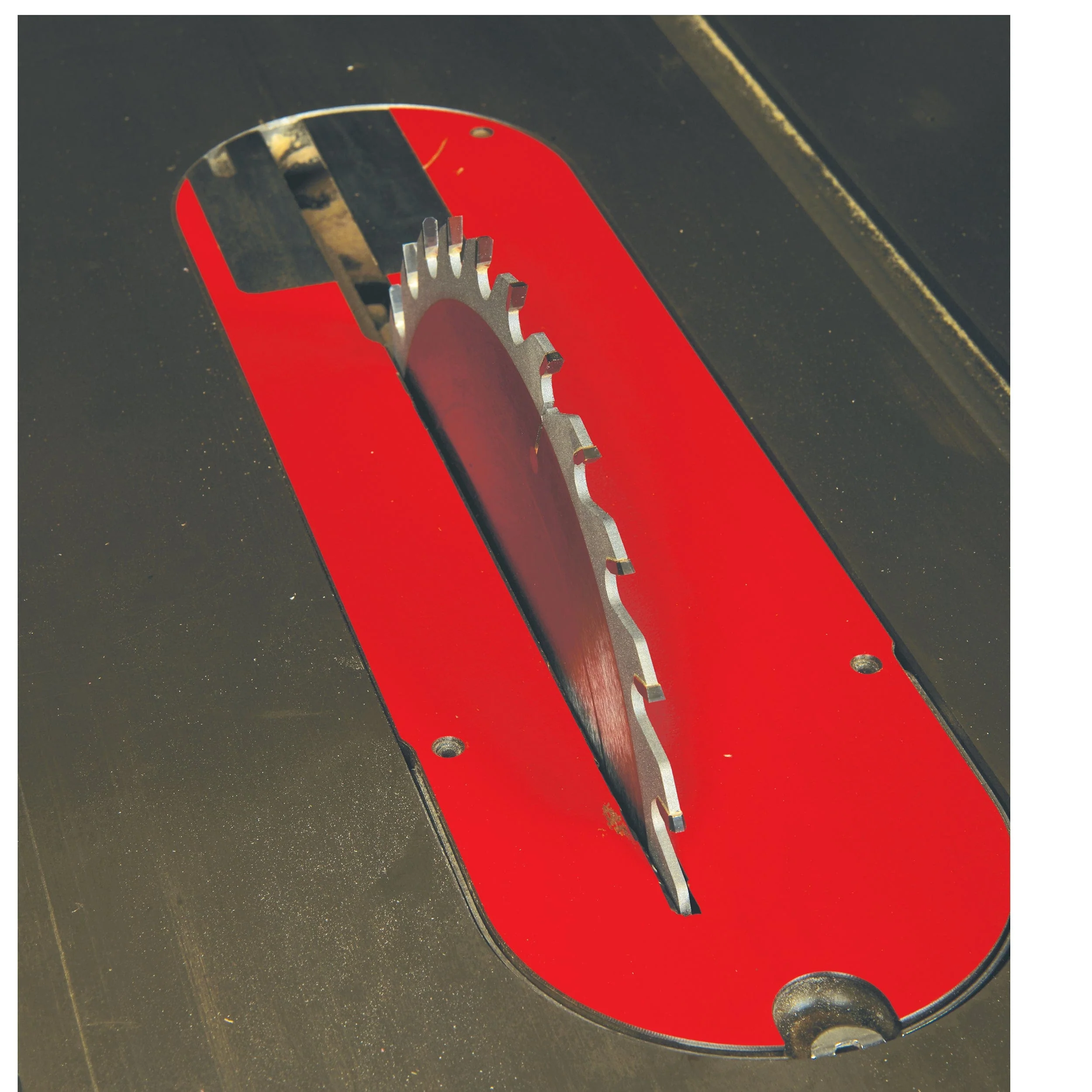 Glue Line Rip Saw Blade - 10" x 5/8" Bore x 30T - TCG - Image 4
