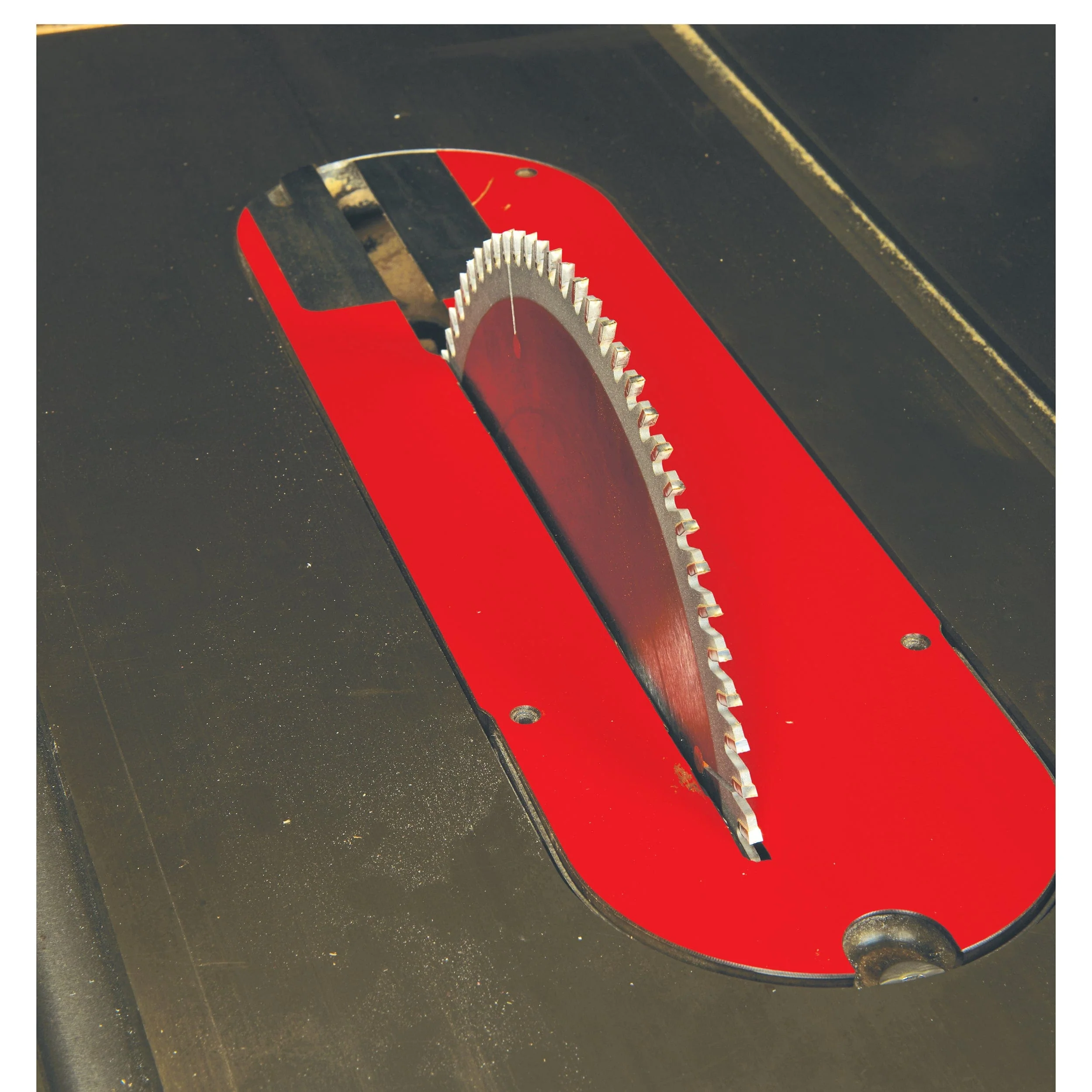 Precision Trim Saw Blade - 10" x 5/8" Bore x 80T - ATB - Image 4